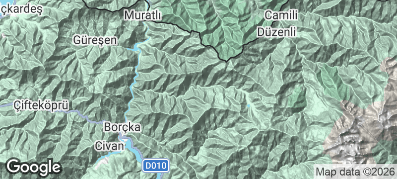 Terrain map