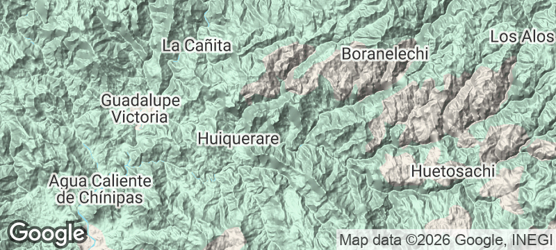 Terrain map