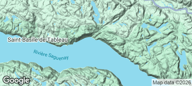 Terrain map