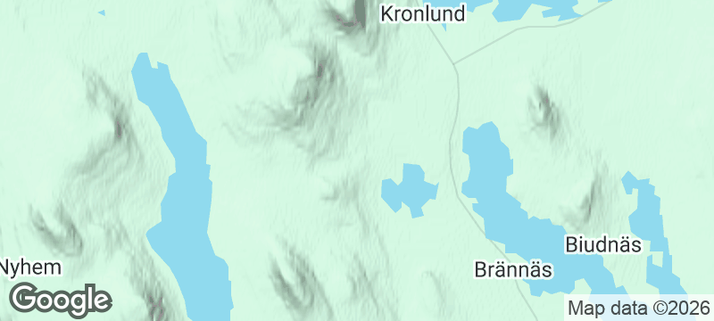 Terrain map