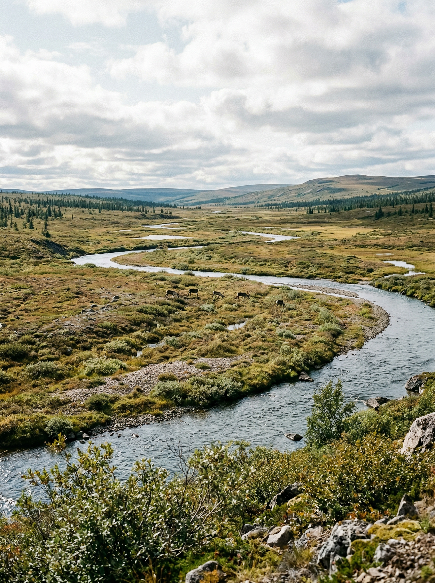 Thelon Wildlife Sanctuary
